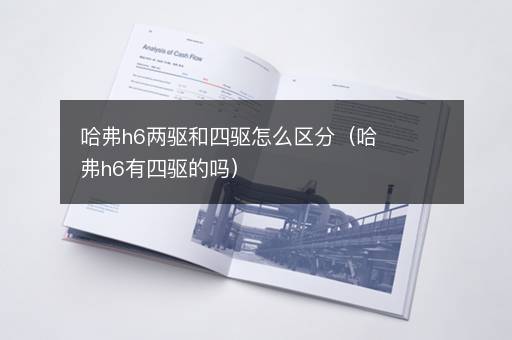 哈弗h6两驱和四驱怎么区分（哈弗h6有四驱的吗）