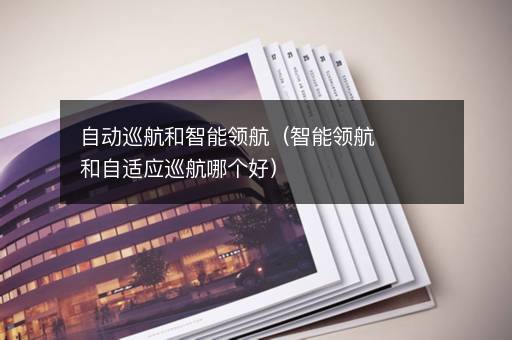 自动巡航和智能领航（智能领航和自适应巡航哪个好）