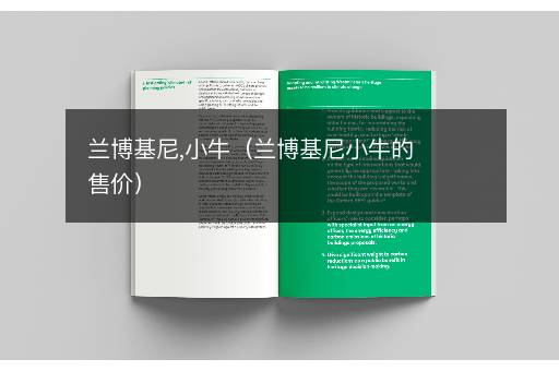 兰博基尼,小牛（兰博基尼小牛的售价）