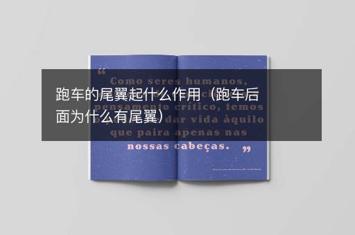 跑车的尾翼起什么作用（跑车后面为什么有尾翼）