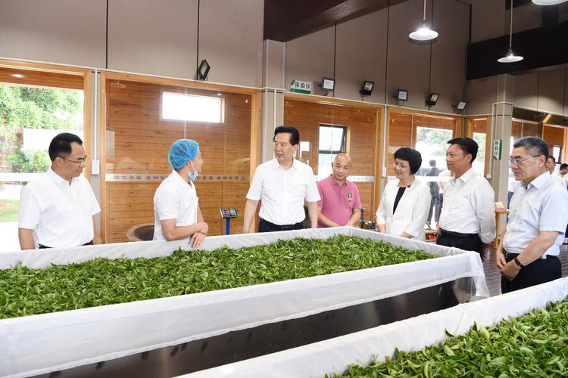 茶基茶业
